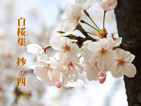 与謝野晶子第二十四歌集【白桜集】抄ー4 : Merrydiary