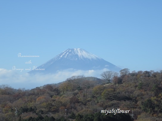 箱根 駒ヶ岳山頂から見る雪を冠った富士山 2019_b0255144_12015520.jpg