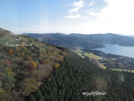 箱根 駒ヶ岳山頂から見る雪を冠った富士山 2019_b0255144_12043658.jpg