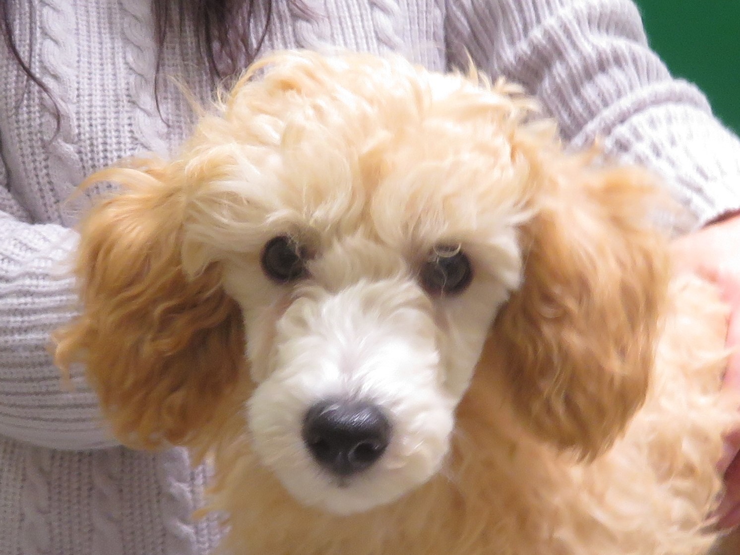 11 月 24 日の写真_c0174644_10312801.jpg