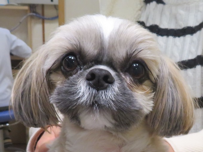 11 月 24 日の写真_c0174644_10313010.jpg