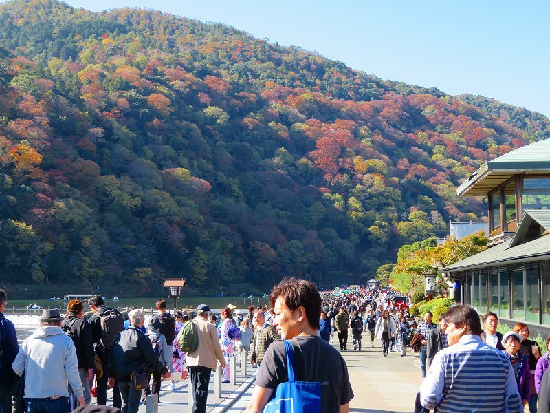 嵐山②「渡月橋」20191123_e0237645_23403429.jpg