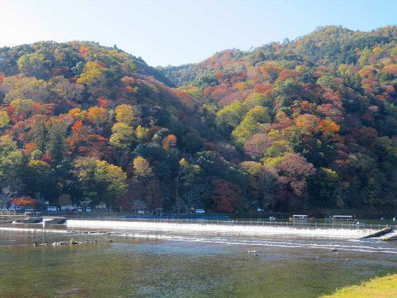 嵐山②「渡月橋」20191123_e0237645_23413617.jpg