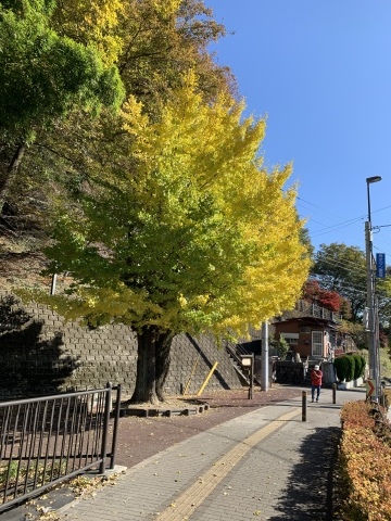 紅葉 高津戸峡 Nphpブログ版 紅葉 高津戸峡 Nphpブログ版