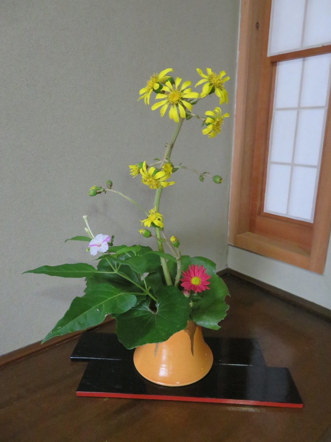 紅葉も真っ盛り名残花で楽しむ。_f0329849_20315489.jpg