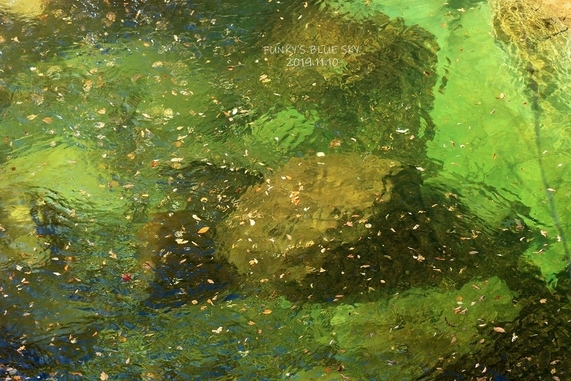 落ち葉 流るる_c0145250_09040140.jpg