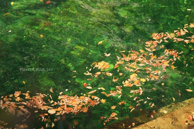 落ち葉 流るる_c0145250_09040400.jpg