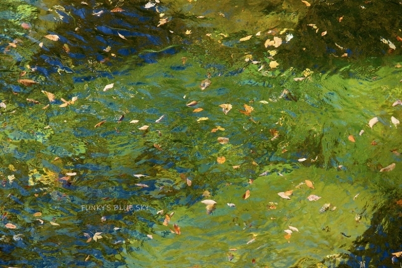 落ち葉 流るる_c0145250_09041466.jpg