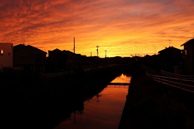 今日の夕日_c0155950_23265608.jpg