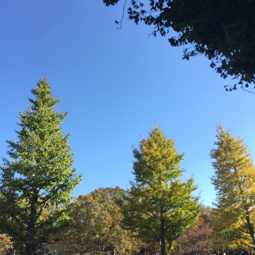 季節と歩く_c0113755_23352657.jpg