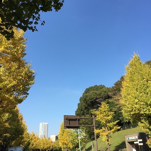 季節と歩く_c0113755_23352695.jpg