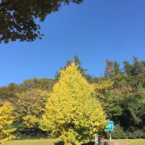 季節と歩く_c0113755_23352698.jpg
