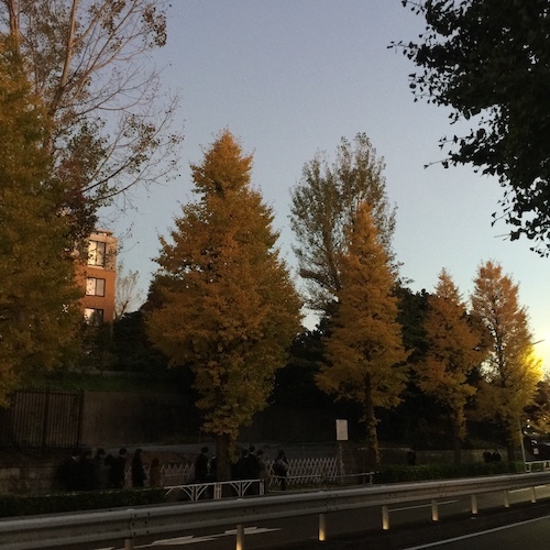 季節と歩く_c0113755_23352798.jpg