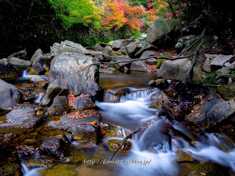 名勝豪渓の紅葉 道草photo Life2 名勝豪渓の紅葉 道草photo Life2