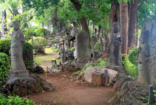 ＜2019秋＞大学時代に下宿した街（中野沼袋）の穴場探訪＆大学同期・校友会交流_c0119160_21235588.jpg