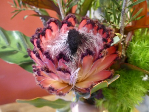 花修行~「鮨 波やし」さんの11月のお花~_f0232060_12291210.jpg
