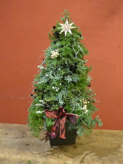 花修行 ~フレッシュハーブのクリスマスツリー~_f0232060_13271950.jpg