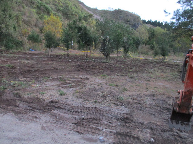 c0080863_17284683.jpg