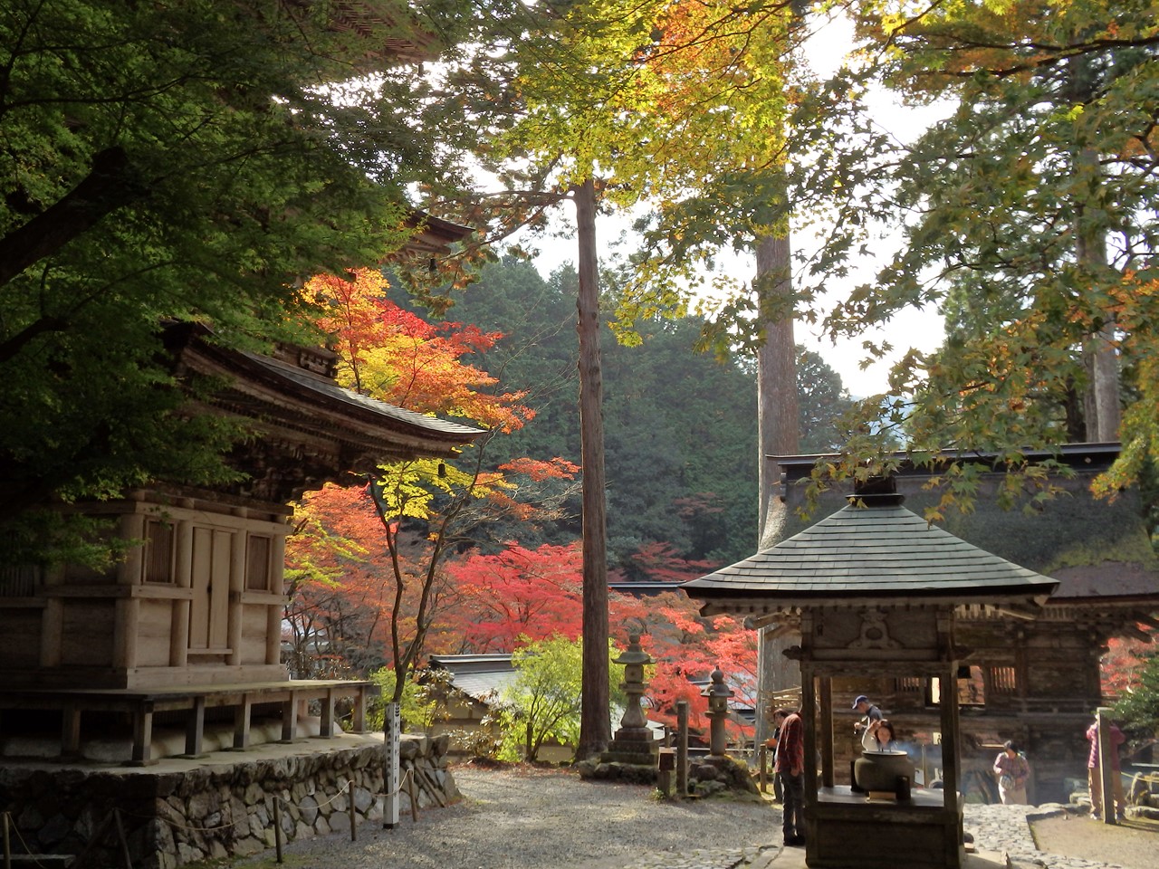 両界山横蔵寺の紅葉風景 自然風の自然風だより