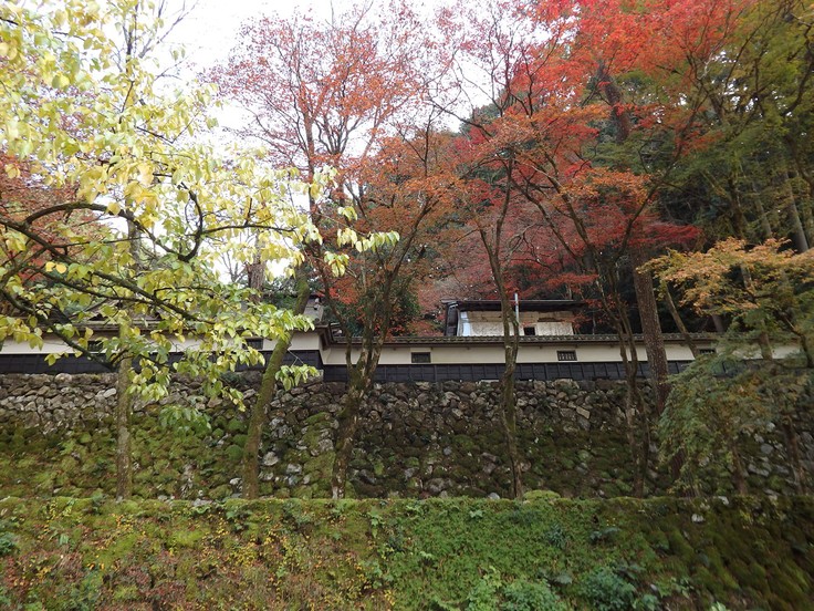 両界山横蔵寺の紅葉風景 自然風の自然風だより 両界山横蔵寺の紅葉風景 自然風の自然風だより