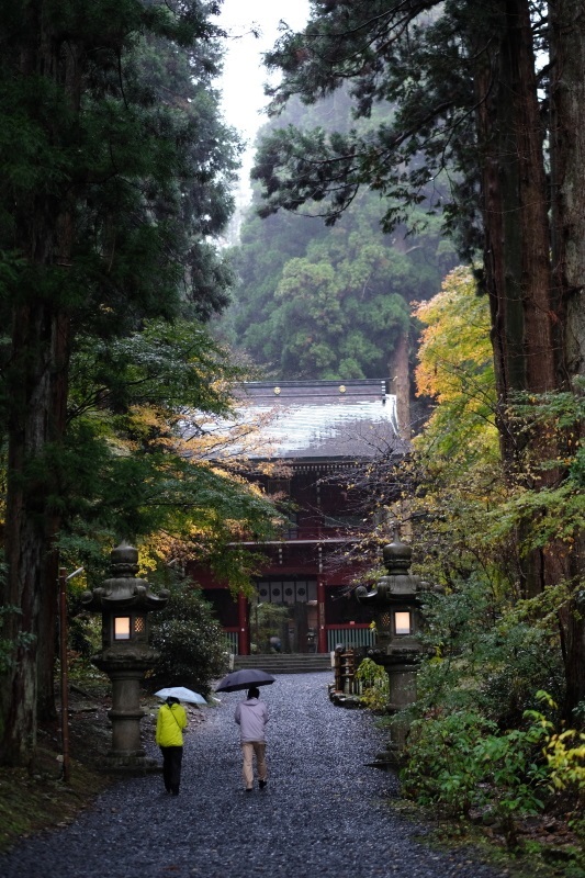 黄葉～日立市「御岩神社」　２０１９・１１・２４_e0143883_15504597.jpg