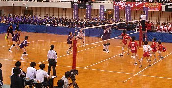 f0003283_07135974.jpg