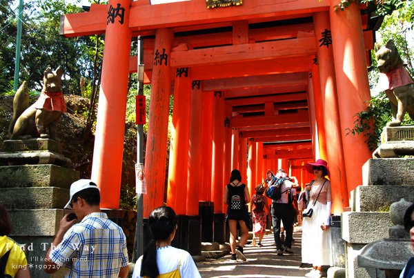 【散歩日和】京都 8/8 伏見稲荷大社_f0054594_20493952.jpg