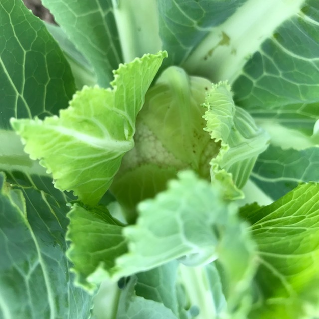 今日は暑かった~_f0204295_18021434.jpg