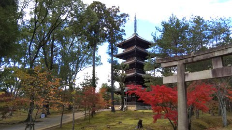 2019.11.14久しぶりの京さんぽ~紅葉の仁和寺_e0410498_18264061.jpg