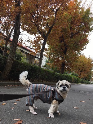 連泊中のくばたん。_f0372998_21204036.jpg