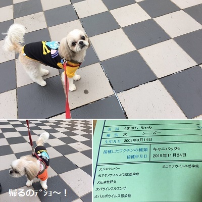連泊中のくばたん。_f0372998_21204900.jpg