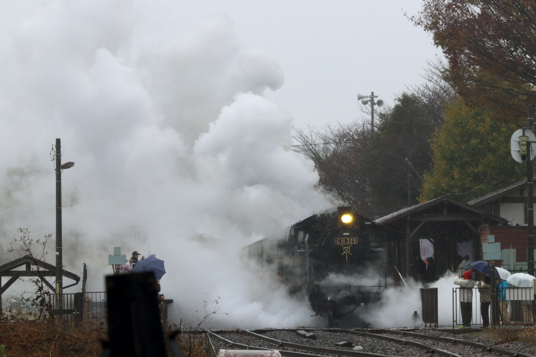 水蒸気を纏う機関車 - 2019年晩秋・真岡鉄道 -_b0190710_20520847.jpg
