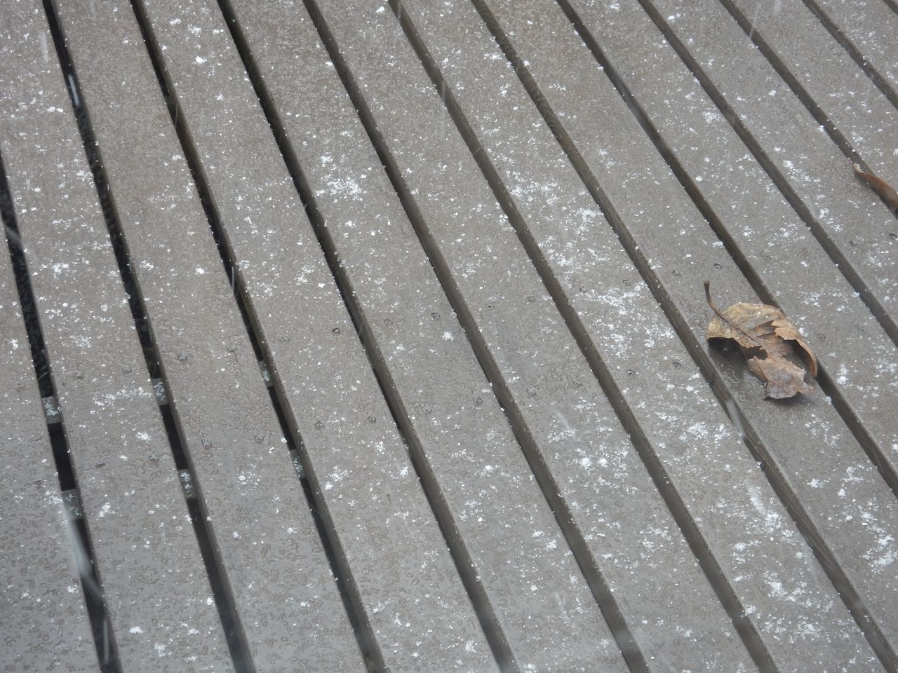 雨から雪へ(「高校生物」またまた増刷)_c0025115_23033993.jpg