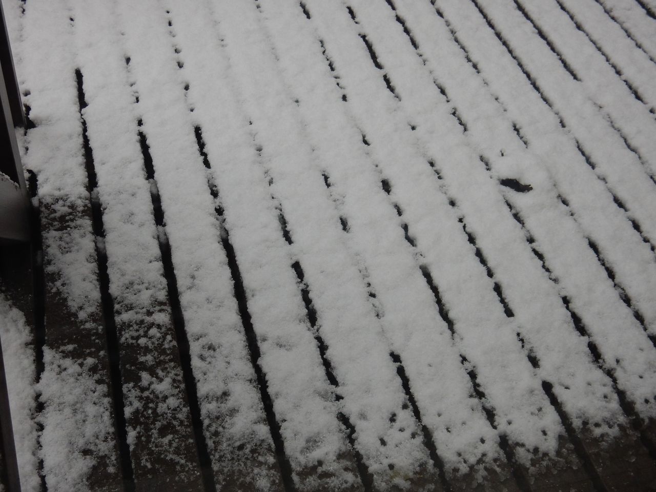雨から雪へ(「高校生物」またまた増刷)_c0025115_23040238.jpg