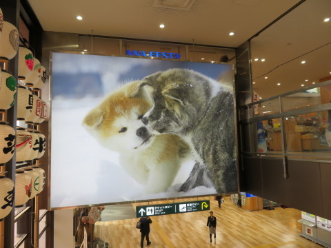 角館市内をほろほろ。_d0019916_15125449.jpg