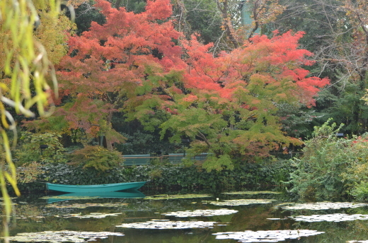紅葉が見ごろです♪_e0135518_14494798.jpg