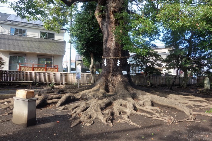 ■御朱印巡り相模原市大島【日々神社】御神木に宿る不思議がスポットの神社です。_b0033423_02091254.jpg