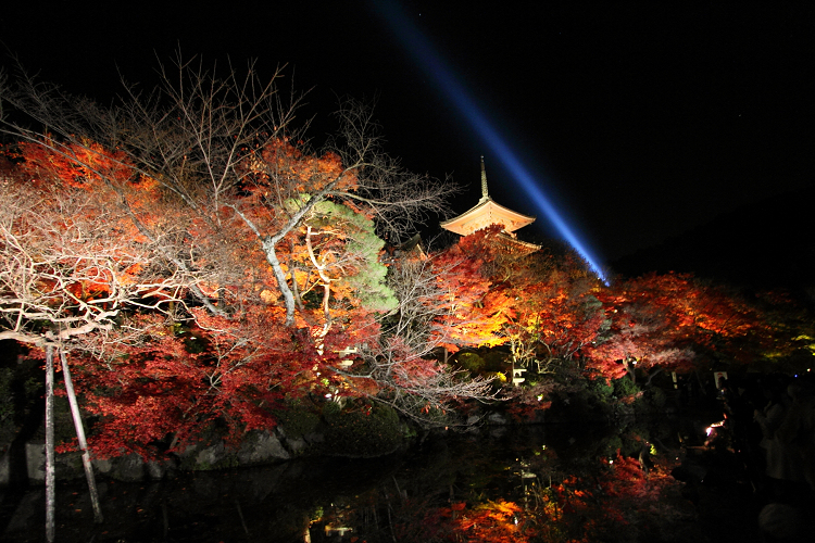 東山紅葉ライトアップ －清水寺（後編）－ _b0169330_726796.jpg