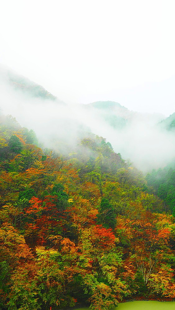 秋雨　雨霞_a0287533_21370486.jpg