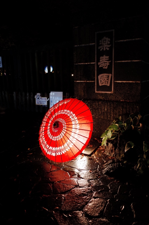 三島市からぶらぶら その3 ~ 三嶋大社、楽寿園_a0287336_00572071.jpg