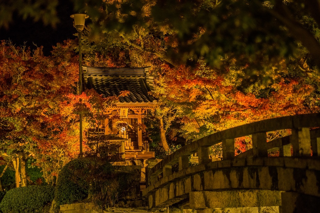 2019京都紅葉~永観堂ライトアップ_e0363038_13305105.jpg