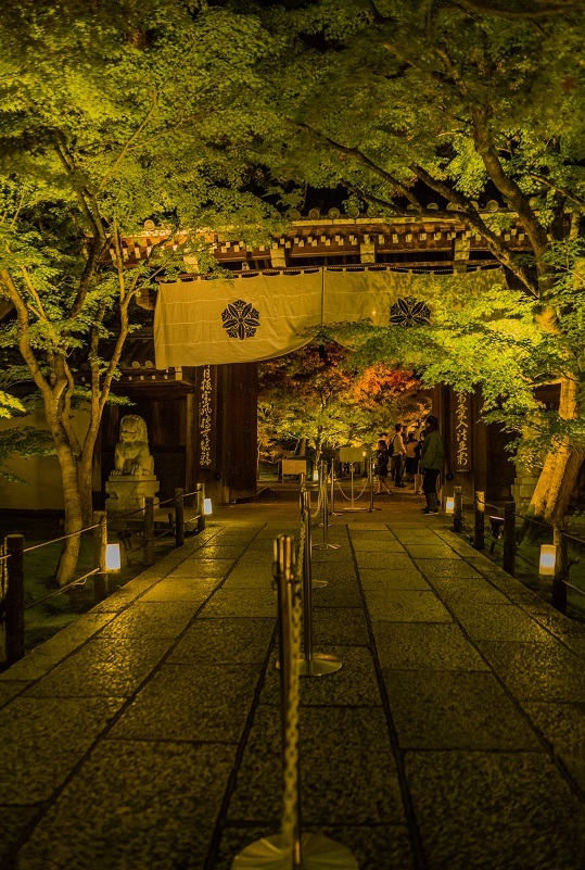 2019京都紅葉~永観堂ライトアップ_e0363038_13305545.jpg