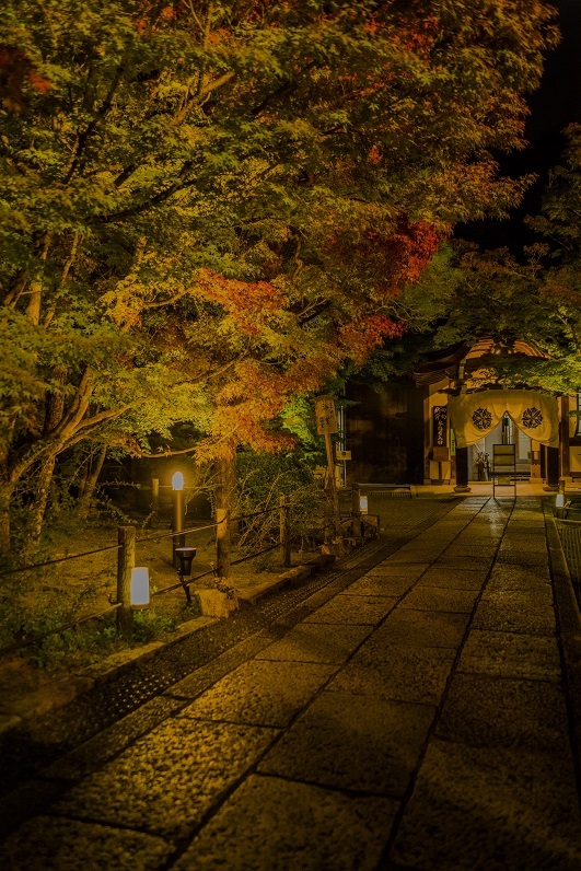 2019京都紅葉~永観堂ライトアップ_e0363038_13310050.jpg