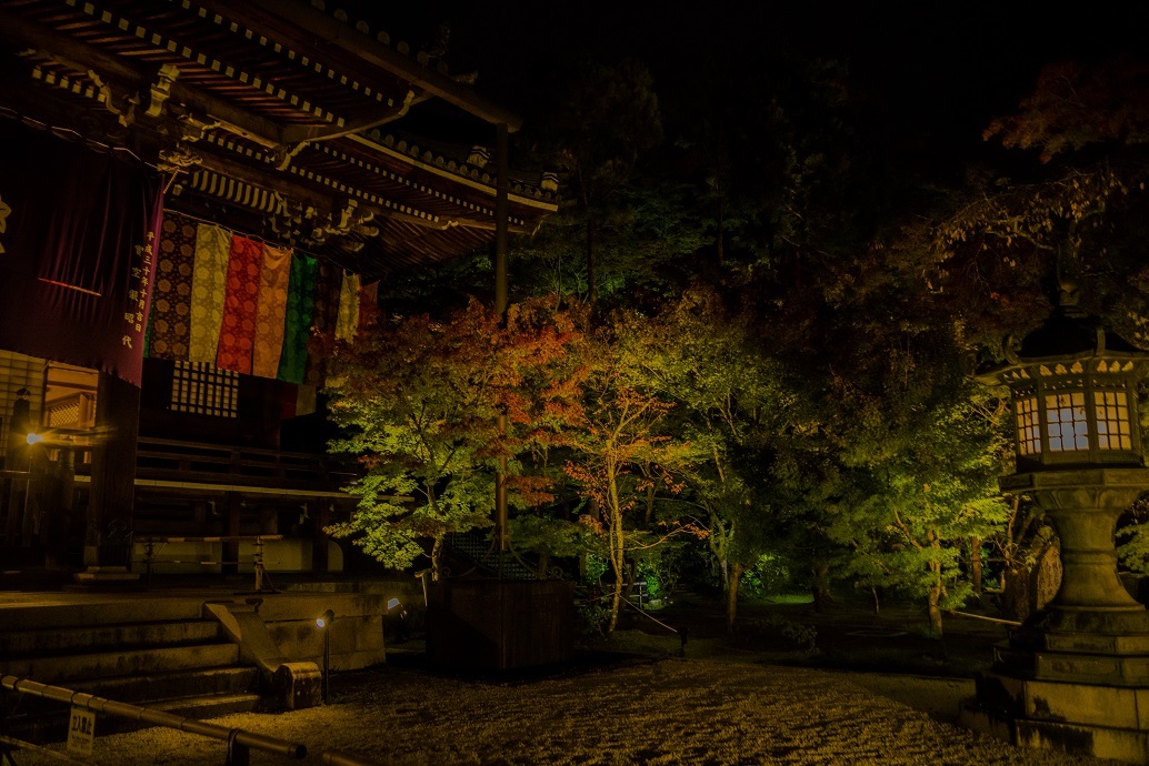 2019京都紅葉~永観堂ライトアップ_e0363038_13310834.jpg