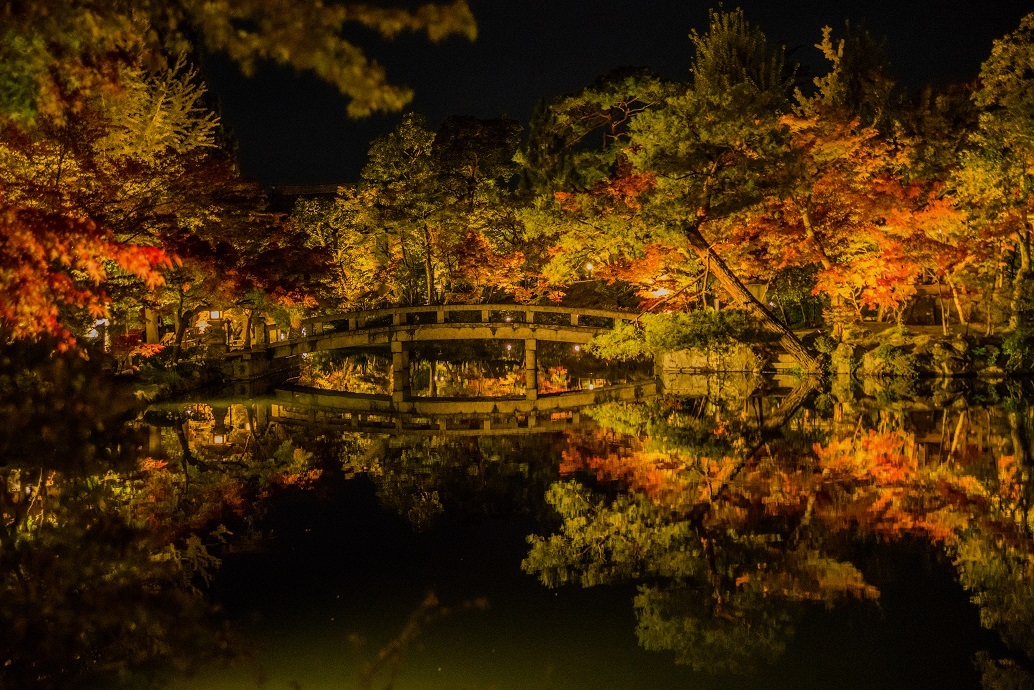 2019京都紅葉～永観堂ライトアップ_e0363038_13312246.jpg