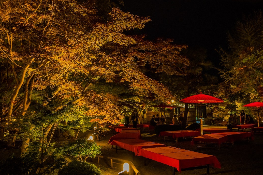 2019京都紅葉~永観堂ライトアップ_e0363038_13312340.jpg