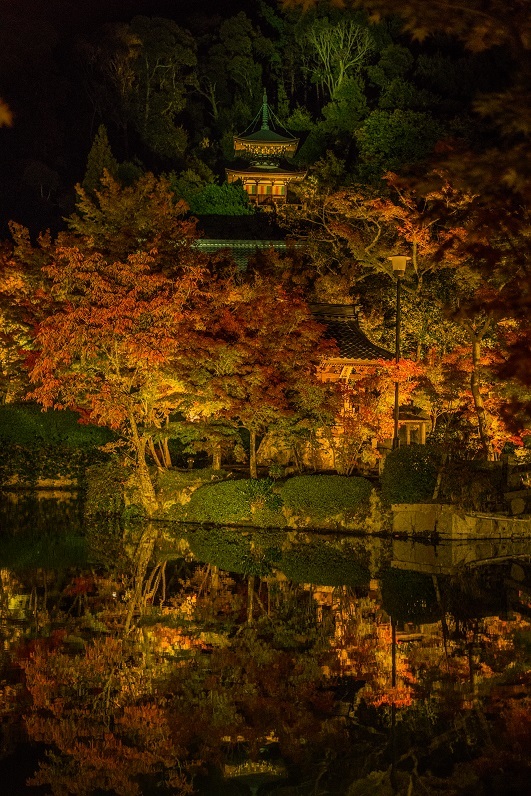 2019京都紅葉~永観堂ライトアップ_e0363038_13313340.jpg