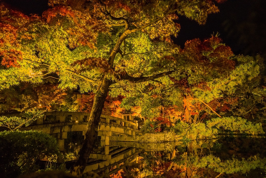 2019京都紅葉~永観堂ライトアップ_e0363038_13313344.jpg