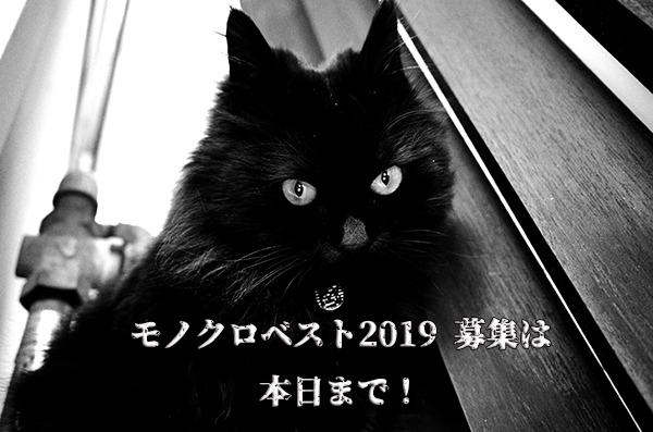 白黒つける募集は本日まで。_e0158242_12531807.jpg