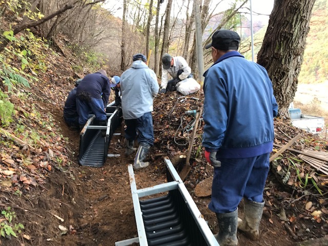 初冬の暖かな日に・・・_b0100253_11461621.jpg